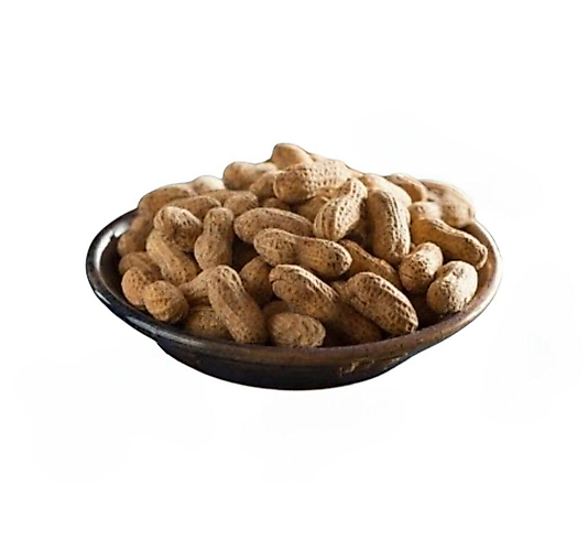 KABUKLU ÇİĞ YER FISTIĞI